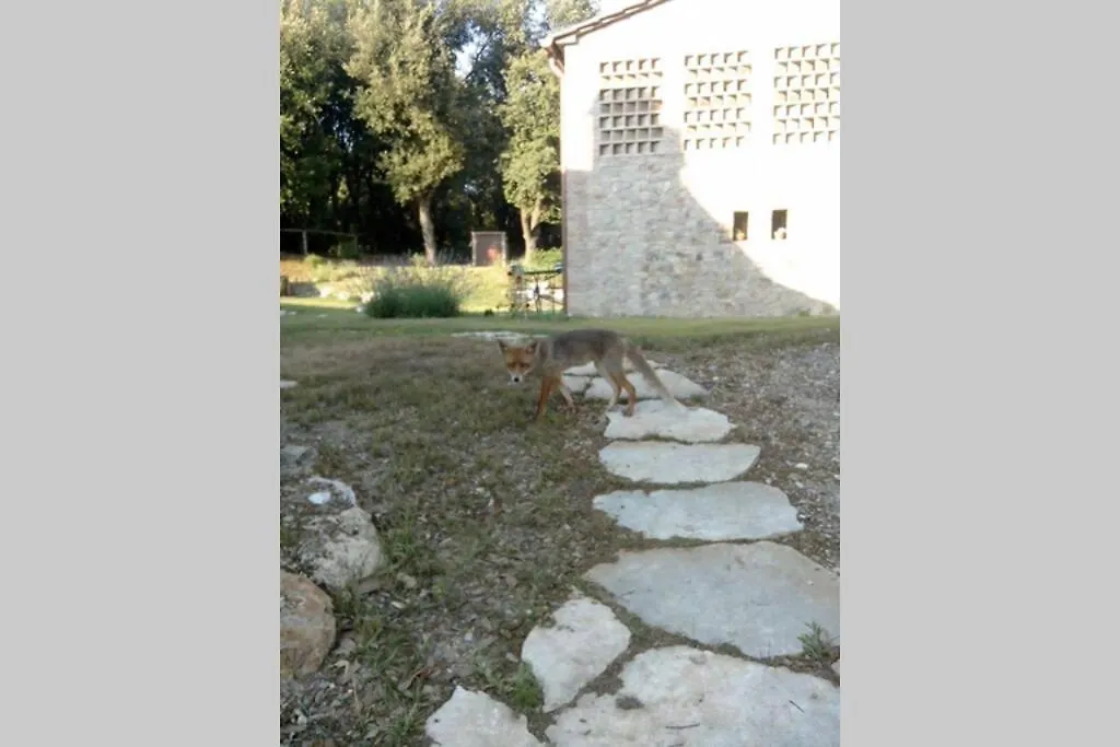 Casa Il Corbezzolo In Borgo Storico Apartment Gambassi Terme