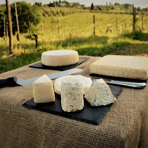 Fattoria Le Caprine Bed & Breakfast